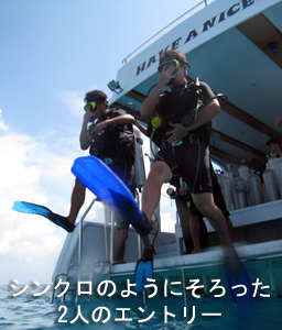 ラチャヤイ島で体験ダイビング♪_f0144385_252131.jpg