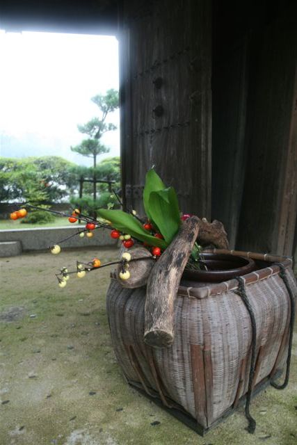 五風十雨　＜雨の日の・・・・＞_c0099086_19462844.jpg