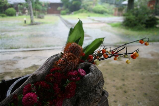 五風十雨　＜雨の日の・・・・＞_c0099086_1946564.jpg