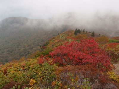 会津百名山 七ヶ岳_a0096989_22524794.jpg