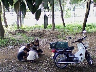 a0118891_23541340.jpg