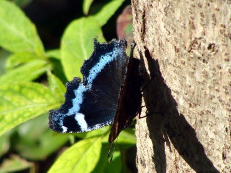 c0105295_19275760.jpg