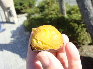 c0191597_92370.jpg