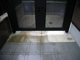 b0003400_1749569.jpg