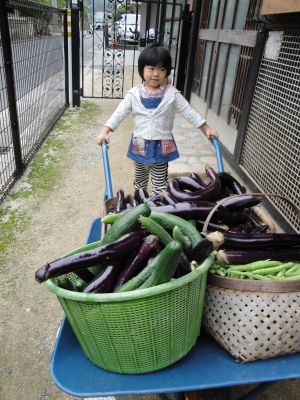 連休最終日ですね!行楽日和だ!いいなぁ・・・_e0166301_9223319.jpg