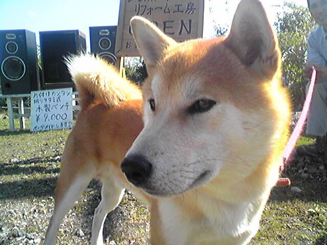 f0079202_2138016.jpg