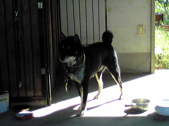 f0079202_2138051.jpg
