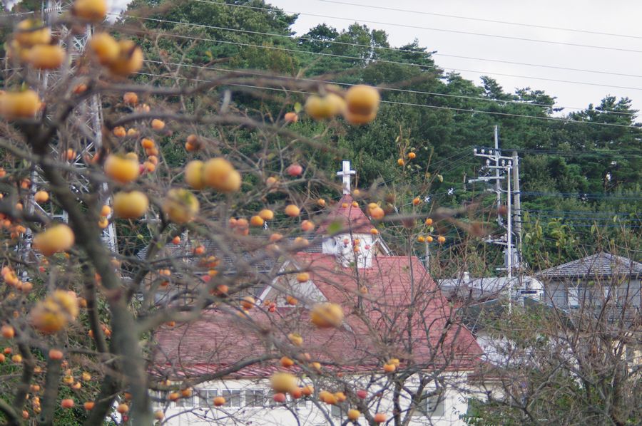 c0187503_177276.jpg