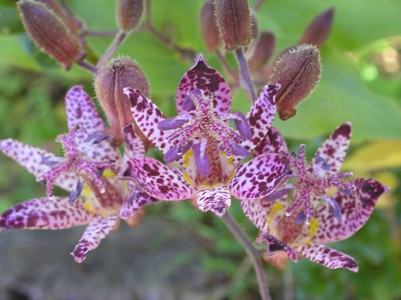 c0156104_2324612.jpg