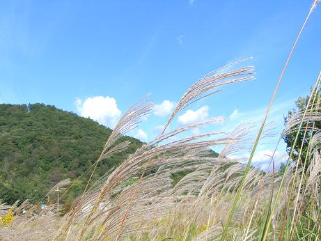 c0170905_533710.jpg