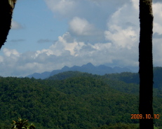 f0116707_12223850.jpg