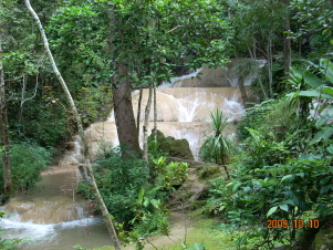 f0116707_1421514.jpg