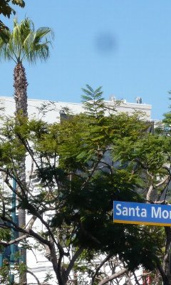 b0086909_0123165.jpg