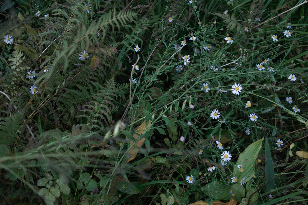 b0137311_22401783.jpg