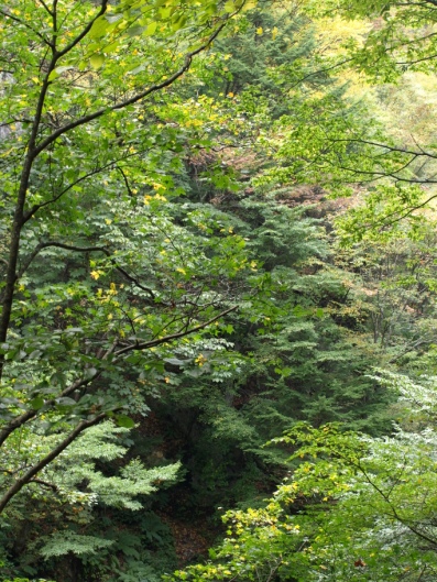 e0083212_1149023.jpg