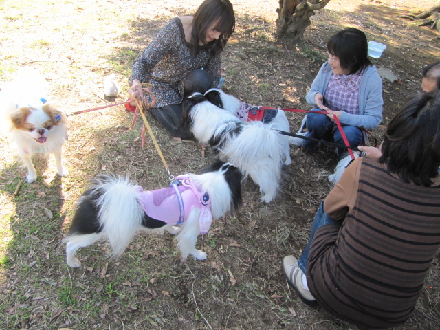 c0200916_02457.jpg