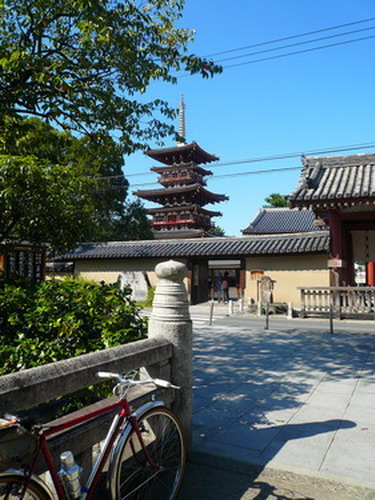 b0174217_1853171.jpg
