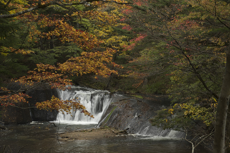 日光ハイキング_f0010717_20411629.jpg