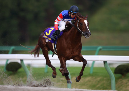 エスポワールシチー　南部杯（GⅠ）優勝！！_f0053218_20354814.jpg