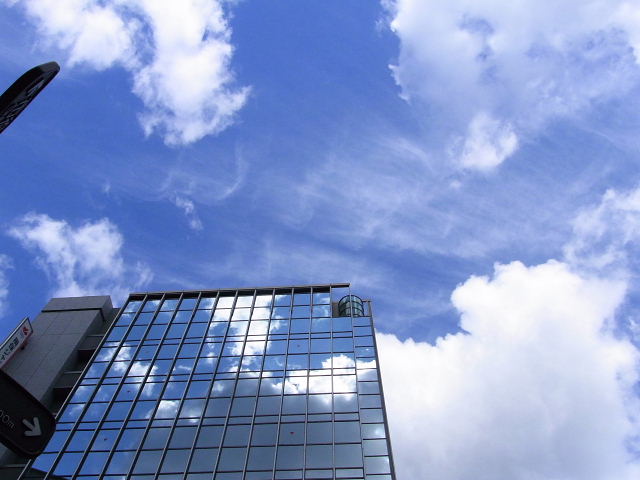 朝焼け・雲・神戸市長選・岡本の花_a0037019_673797.jpg