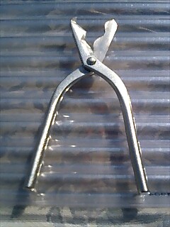 e0091220_1823925.jpg