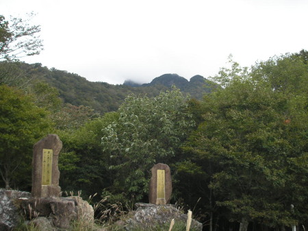 a0048823_151787.jpg