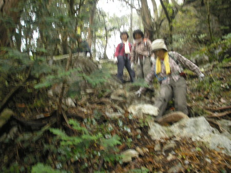a0048823_15351385.jpg