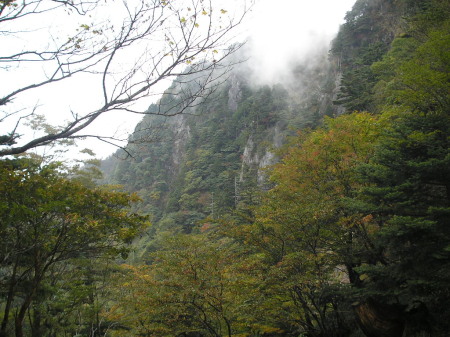 a0048823_15404719.jpg