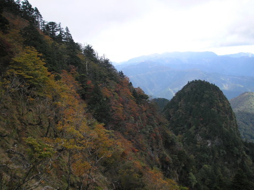 a0048823_15581849.jpg