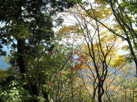 a0048823_16125944.jpg