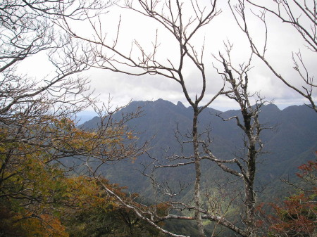 a0048823_1692422.jpg