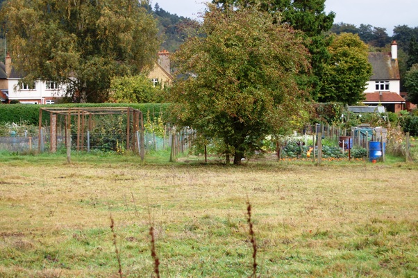 d0104926_1384919.jpg