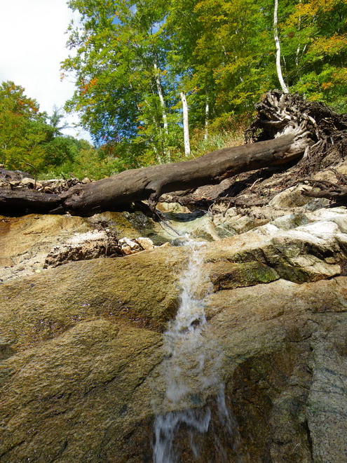 c0035931_16511.jpg