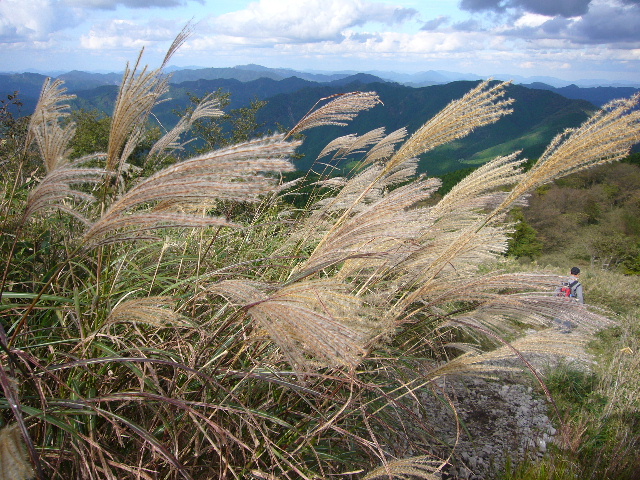 d0075131_16594523.jpg