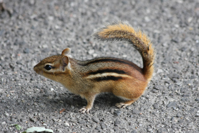 010 High Park ~優良ガイド~_c0211532_1741891.jpg