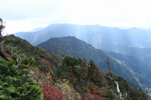 d0055236_17503662.jpg