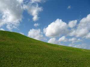 f0182936_0263124.jpg