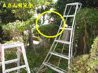 ハイスピード作業_f0031037_18503842.jpg