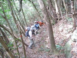 猫谷川新道の素晴らしさを長崎の方に教えてもらう_c0077338_745841.jpg