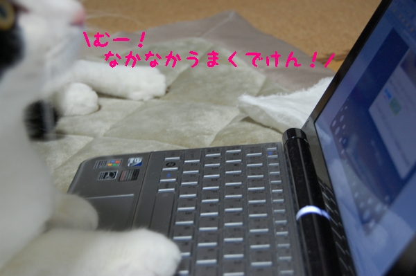 c0181639_1463080.jpg