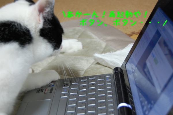 c0181639_1464416.jpg