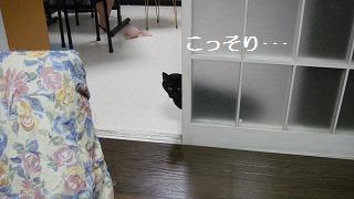 おどかしごっこ_e0195743_11574928.jpg