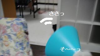 おどかしごっこ_e0195743_11575864.jpg