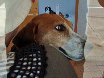 c0086746_0082.jpg