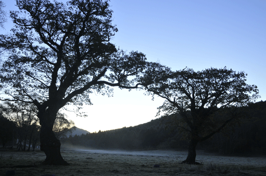 c0093046_8431654.gif