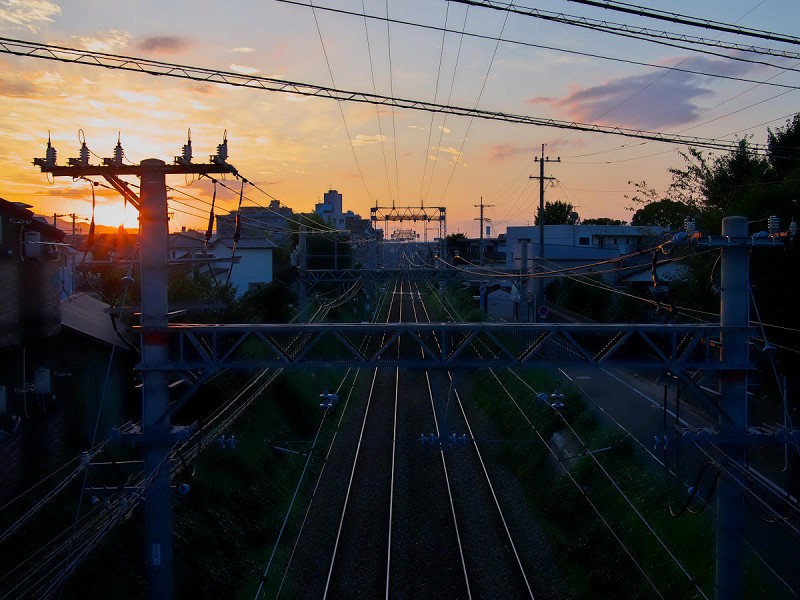 f0002946_154962.jpg
