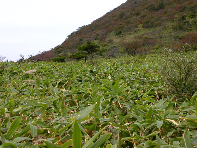 結成！山岳部(仮)_b0180352_11575668.jpg