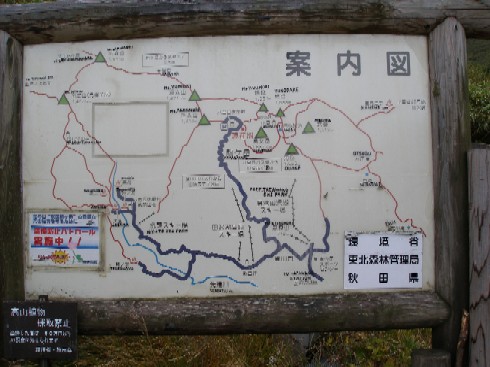 c0037553_1215831.jpg