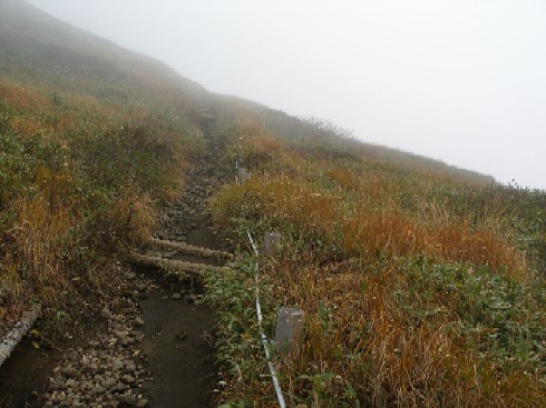 c0037553_1253786.jpg
