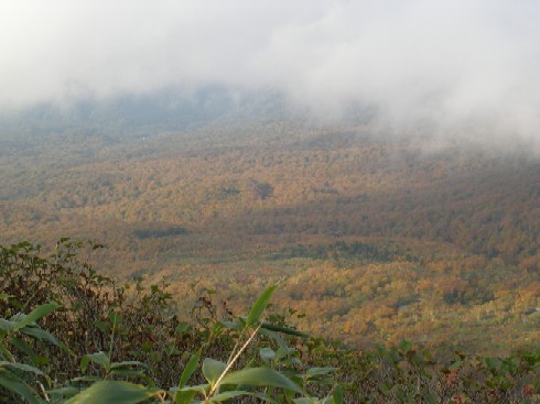 c0037553_140375.jpg